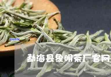 勐海县永明茶厂排名揭晓，揭秘茶叶品种