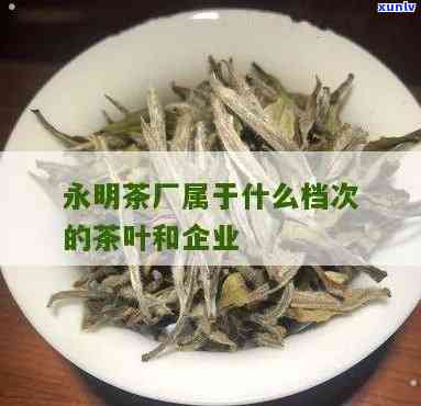 勐海县永明茶厂排名揭晓，揭秘茶叶品种