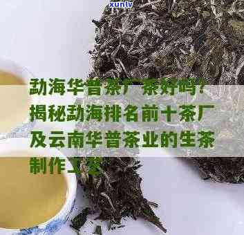 勐海华洋茶厂茶好吗-勐海华洋茶厂官网