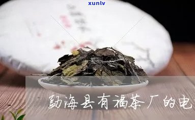 信用卡逾期与贷款利率的关联性：深度解析