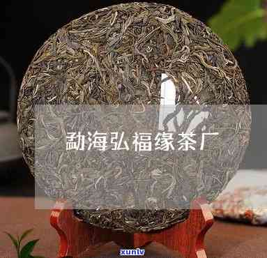 查询勐海福缘茶厂 *** 号码