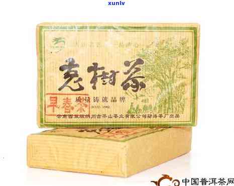 勐海茶厂龙园号砖茶，探索云南特色：品尝勐海茶厂龙园号砖茶的韵味