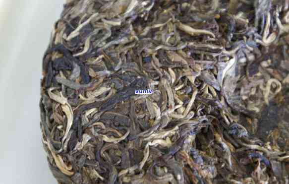 云南勐海和益茶厂旗下，探索云南的茶叶文化：品味勐海和益茶厂的优质