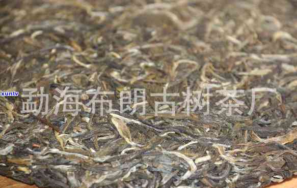 勐海手工精制古茶厂-勐海手工精制古茶厂地址