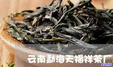 云南天福祥茶厂普洱茶，品味云南风情：天福祥茶厂普洱茶的魅力探索