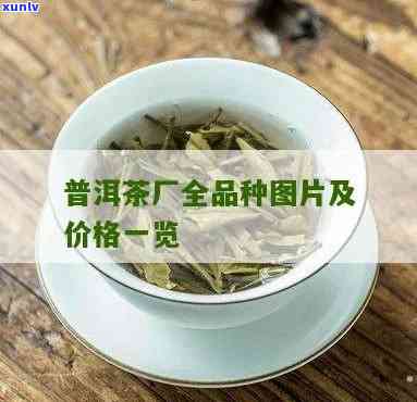 全览：勐海茶厂所有茶品种、名称及图片