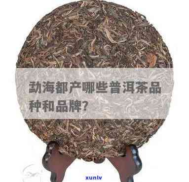 勐海茶厂的知名茶叶品种及全览