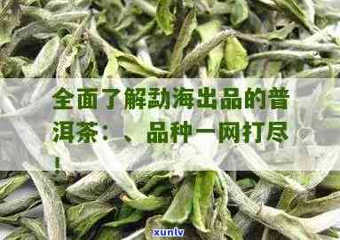 勐海茶厂的知名茶叶品种及全览