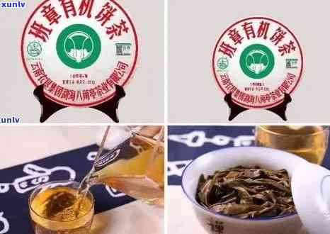 勐海茶厂班章，「探秘」勐海茶厂班章：顶级普洱茶的诞生地