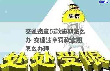 交通行政处罚逾期-交通行政处罚逾期怎么处理