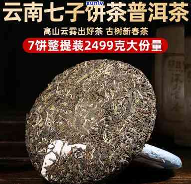 勐海县福象茶厂，【正宗古树普洱茶】云南勐海县福象茶厂2023春茶大树纯料七子饼茶生茶熟茶礼盒装 新年送礼佳品茶叶整箱特产茶礼品茶 茶叶 礼盒装 整箱12沱 勐海宫廷级老班章