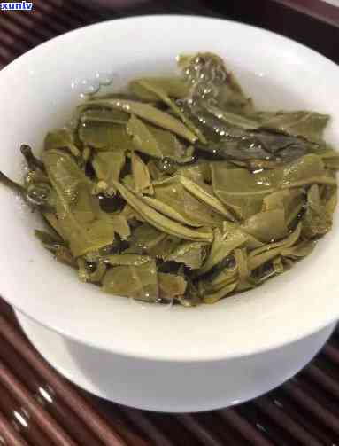 勐海陈升茶叶，探索云南茶文化：了解勐海陈升茶叶的历与产品