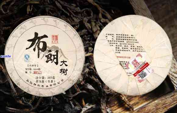 勐海大树木饼茶价格世，【世】勐海大树木饼茶价格行情分析