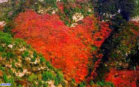 云南光芒山，探秘云南光芒山：神秘的自然景观与丰富的文化遗产