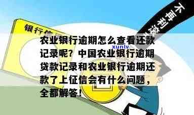 农行贷款有逾期记录两个月还能申请贷款吗？