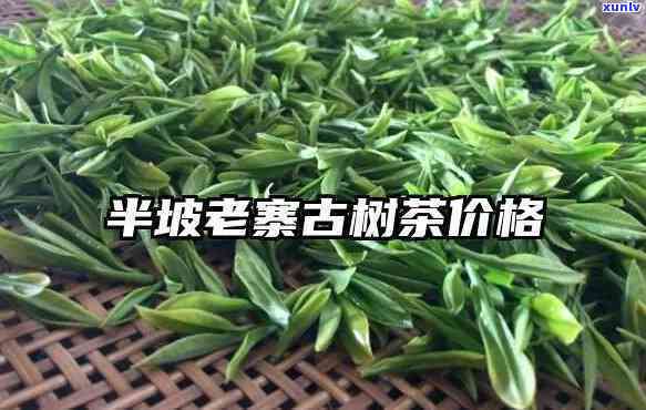 南糯半坡老寨：古树茶价格全揭秘