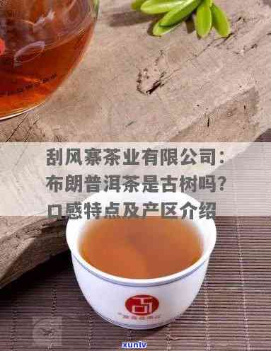 刮风寨茶是什么档次，探秘高端茶叶：刮风寨茶的档次及其特点