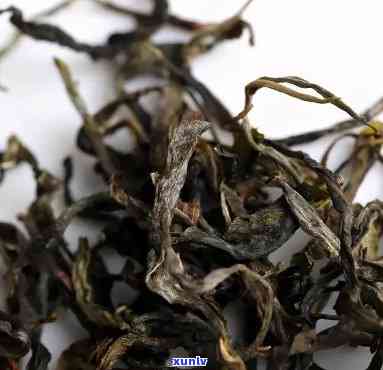 刮风寨茶：特点口感揭示，深度解析