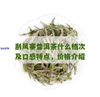 刮风寨茶是什么档次，探究高品质茶叶：刮风寨茶的档次解析