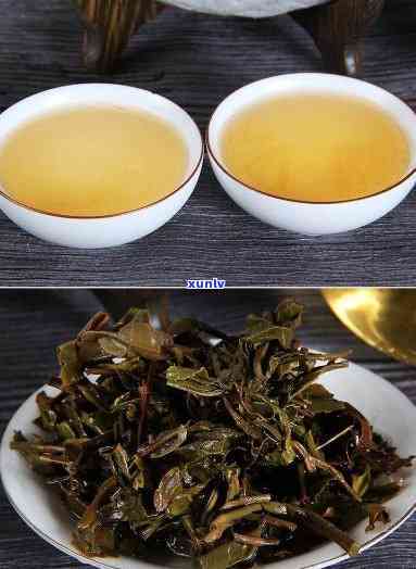 刮风寨茶是什么档次，探究高品质茶叶：刮风寨茶的档次解析