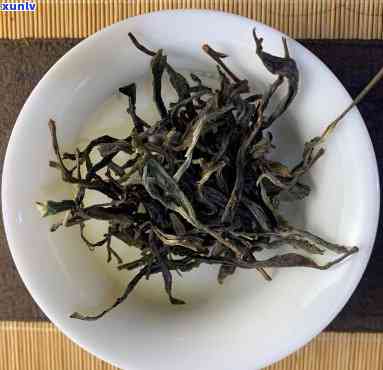 刮风寨茶业：布朗普洱茶是古树品种，口感如何？