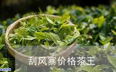 刮风寨茶树王价格，揭秘‘刮风寨茶树王价格’：了解这款珍贵茶叶的市场价格