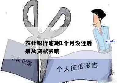 中国农业银行逾期贷款怎么办？详解政策及办理流程