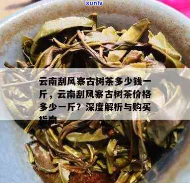 探究刮风寨大树茶：价格、特点全解析