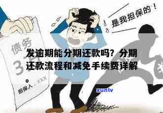 发逾期能分期吗-发逾期后分期还款可以减免手续费吗