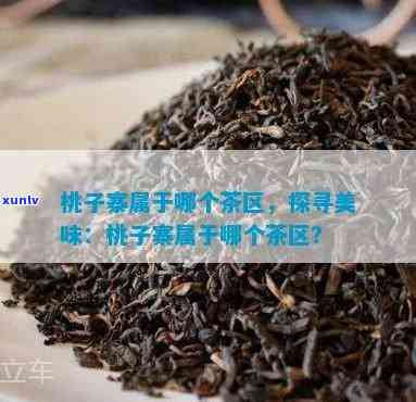 桃子寨属于哪个茶区管，探寻桃子寨：揭秘其所属的茶叶产区