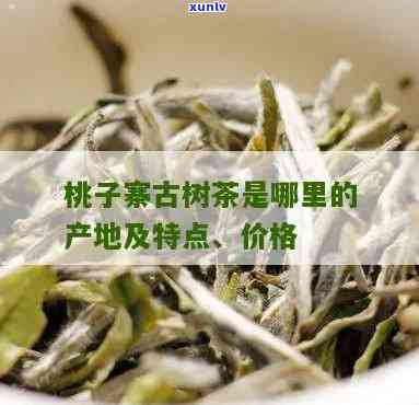 桃子寨属于哪个茶区管，探寻桃子寨：揭秘其所属的茶叶产区