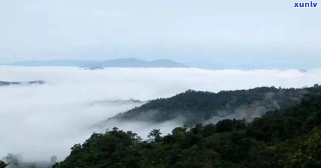 倚邦茶山有哪些寨子-倚邦茶山历