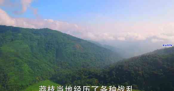 莽枝茶山有哪些寨子组成，揭秘莽枝茶山：由哪些寨子组成？