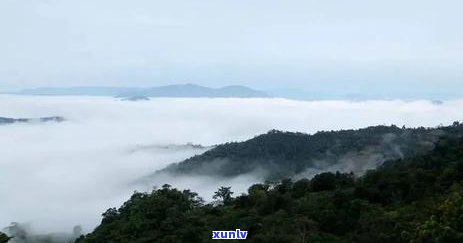 革登茶山有哪些寨子，探寻革登茶山：揭秘其神秘的寨子分布