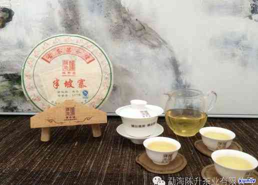 陈升号2014半坡寨：品味古树普洱茶的独特韵味与历传承