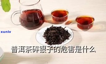 普尔茶碎银子能喝吗？有吗？