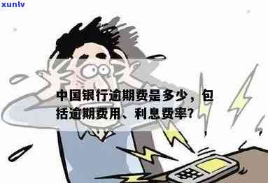 中国银行逾期费用是多少？全解