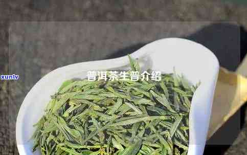 茶普生片价格、功效与作用及用量全解析