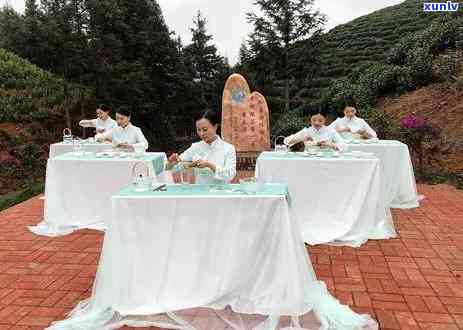 贵州普安茶是什么茶-贵州普安茶是什么茶类