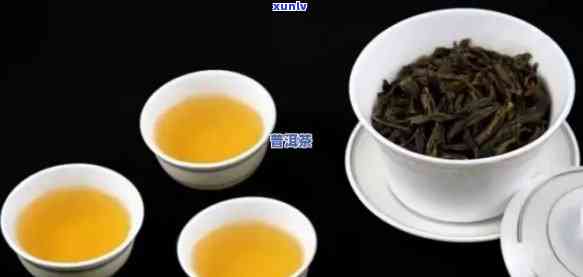 羽会家普茶价格：了解这款茶叶的品种与市场价值