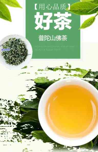 普陀佛茶属于什么茶，探寻神秘的普陀佛茶：它属于哪一类茶叶？