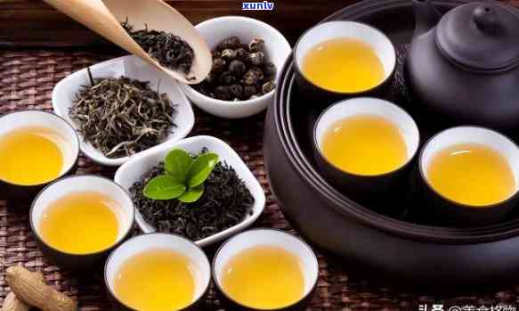 普陀佛茶：究竟是绿茶还是红茶？