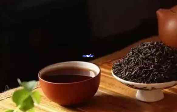 普陀佛茶：究竟是绿茶还是红茶？