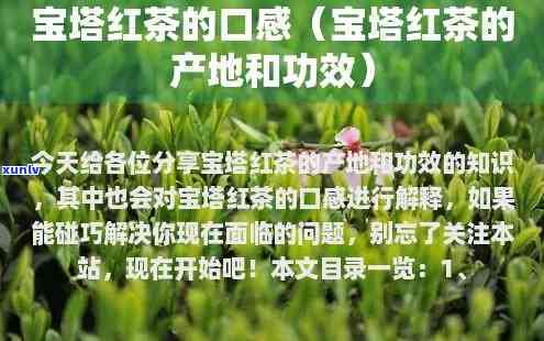 宝塔红茶的特点及功效，探秘宝塔红茶：特点与功效全面解析