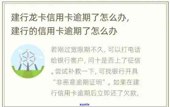 建行逾期一次：一次性还款还需支付利息违约金，能否申请减免？