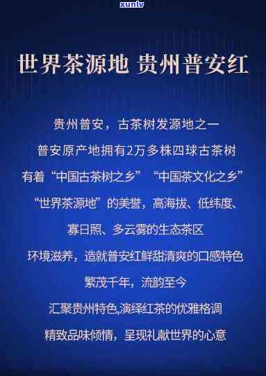 贵州普安红茶业官网首页，探索优质茶叶之旅：贵州普安红茶业官网首页