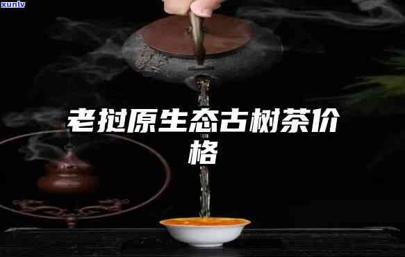 老挝古树茶价格，探寻神秘的老挝古树茶：价格解析与品尝体验