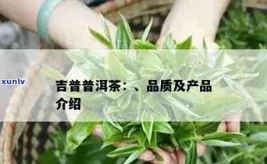 吉普号茶叶，品味吉普号茶叶，体验独特的茶香世界！