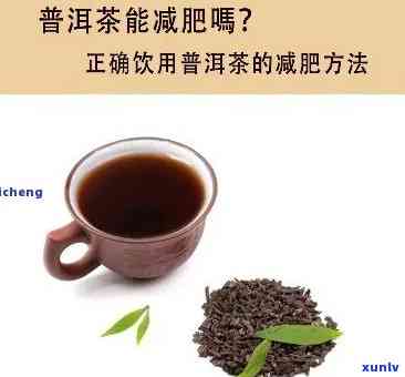 喝普尔茶能减肥吗知乎，普洱茶真的能帮助减肥吗？探讨知乎网友的观点