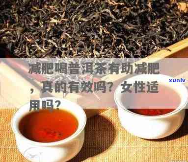 喝普尔茶能减肥吗知乎，普洱茶真的能帮助减肥吗？探讨知乎网友的观点